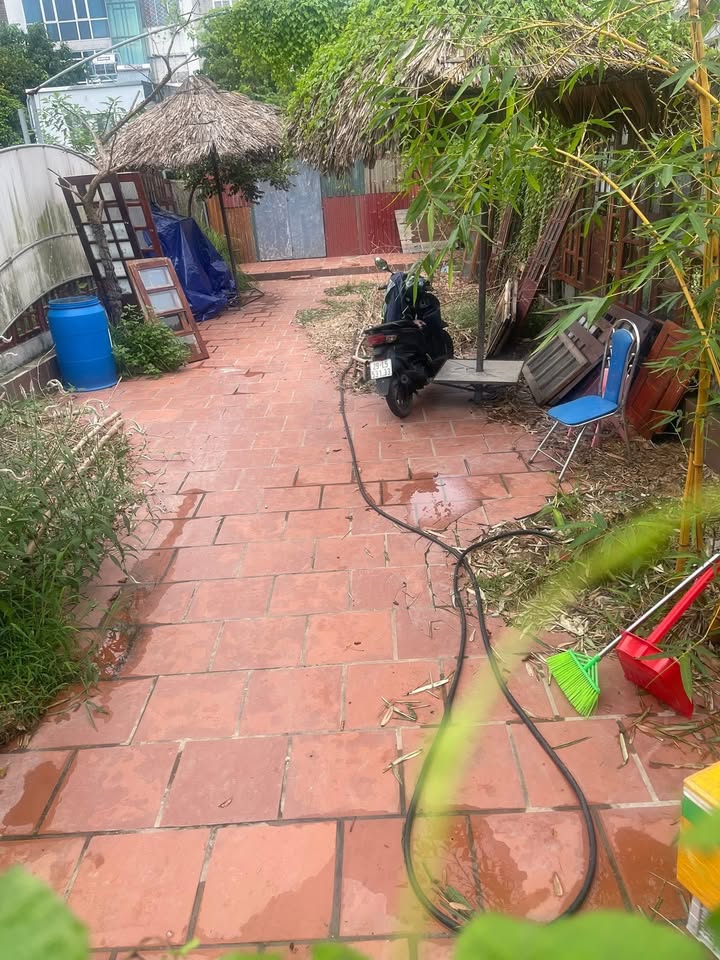 Nhà vườn cho thuê Phú Thượng 200m² - Kinh doanh đa dạng, giá chỉ 12 triệu!