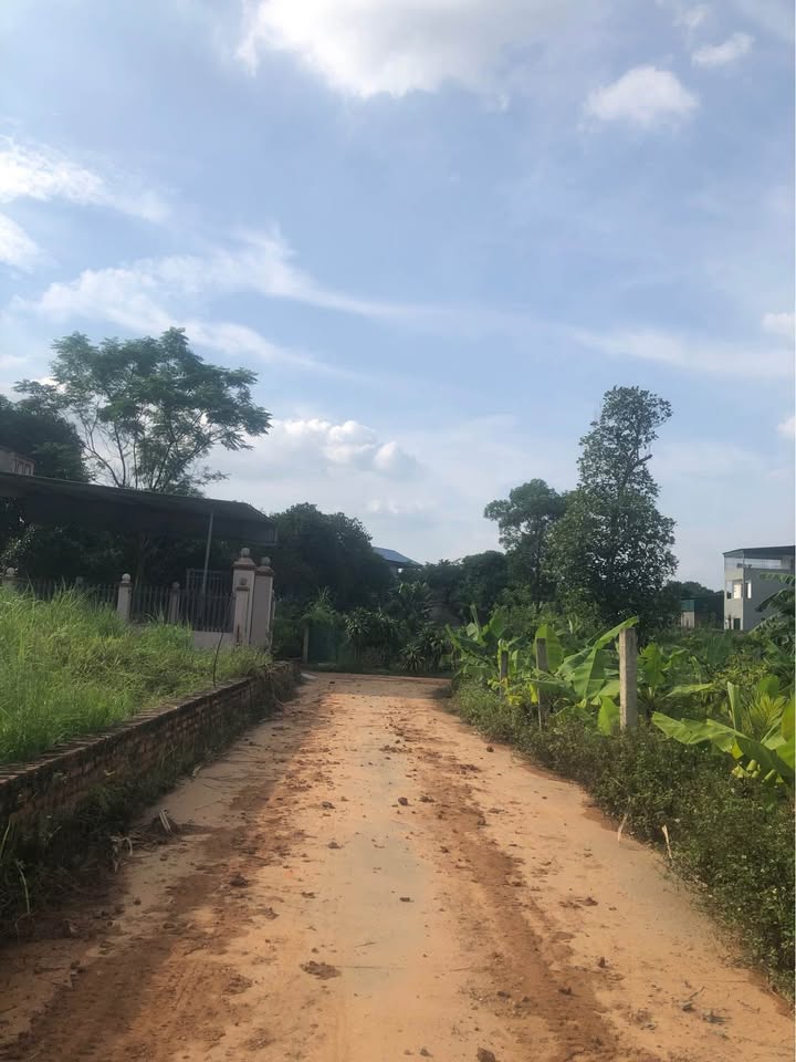 Đất nền Phú Thọ mới, 173m² giá 1.1 tỷ - Cơ hội đầu tư hấp dẫn!