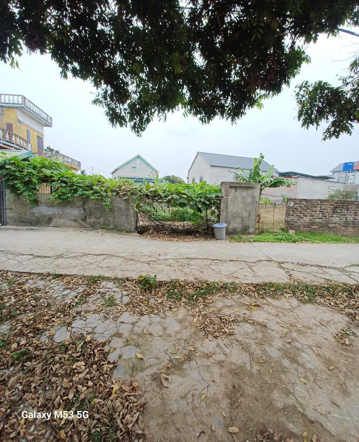 Đất thổ cư tại xã Hưng Long, Ninh Giang 109m² - Cơ hội đầu tư hấp dẫn!