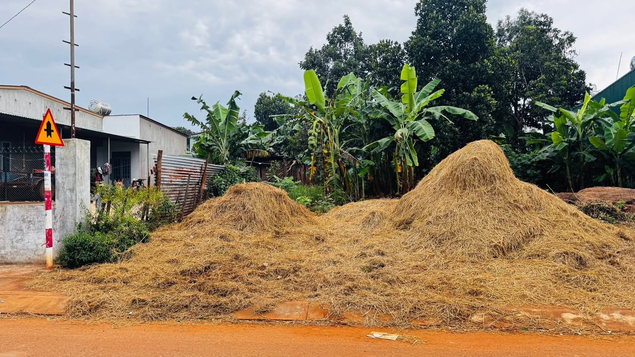 Đất mặt tiền Bà Huyện Thanh Quan, Pleiku 287m² - Kinh doanh sầm uất, vị trí đắc địa!