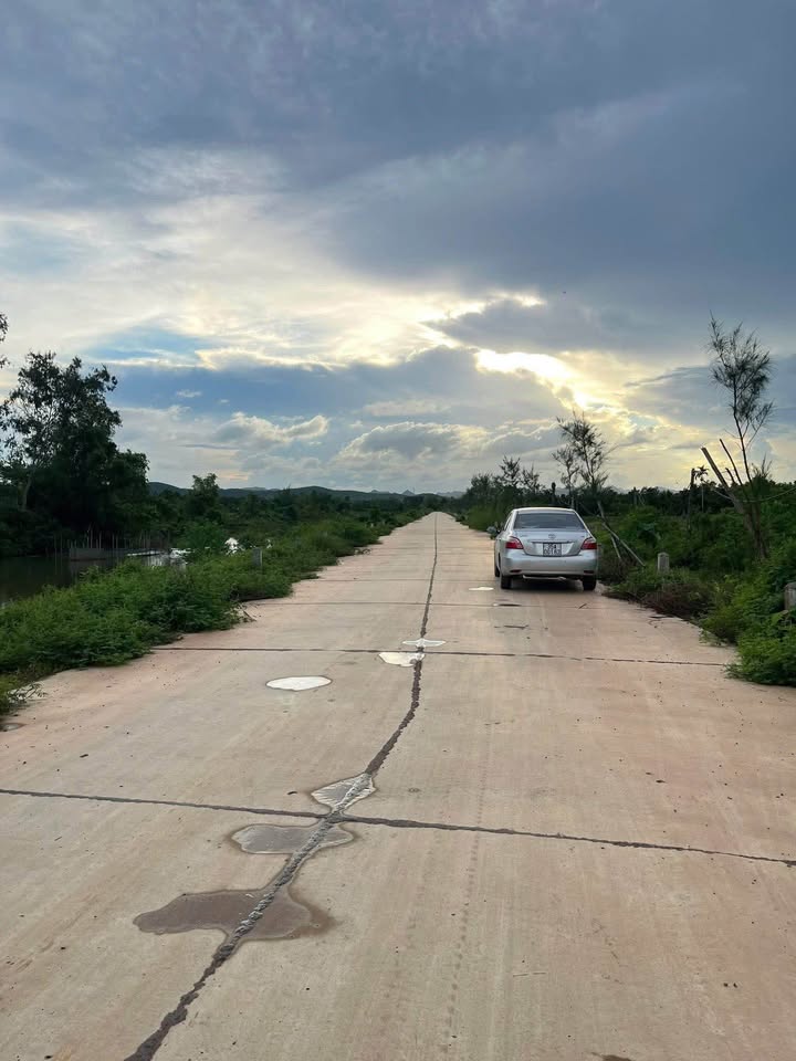 Đất nền Quỳnh Lưu Nho Quan 12.000m² giá 9 tỷ - Cơ hội đầu tư không thể bỏ lỡ!