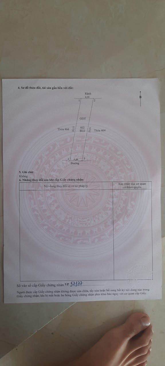 Đất nền chính chủ tại Big C Ninh Bình 80m² giá chỉ 3 tỷ - Cơ hội đầu tư hấp dẫn!