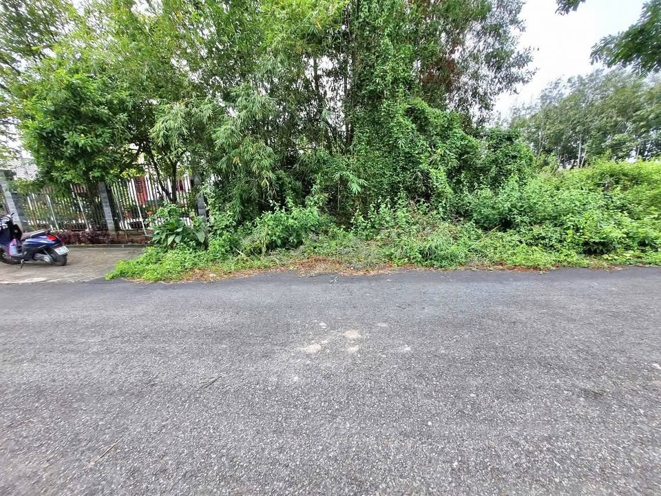 Đất nền xã Thái Mỹ, Củ Chi 398m² giá chỉ 1.55 tỷ - Mặt tiền đường nhựa đẹp!