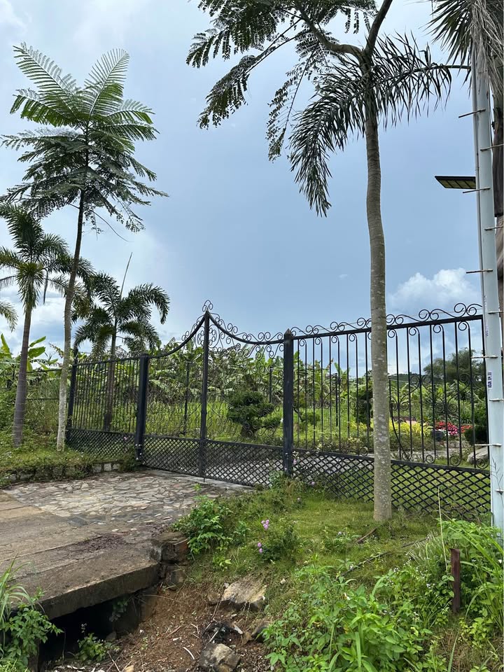 Đất mặt tiền Đinh Công Tráng, Bảo Lộc 217m² giá 1.45 tỷ - Cơ hội đầu tư tuyệt vời!