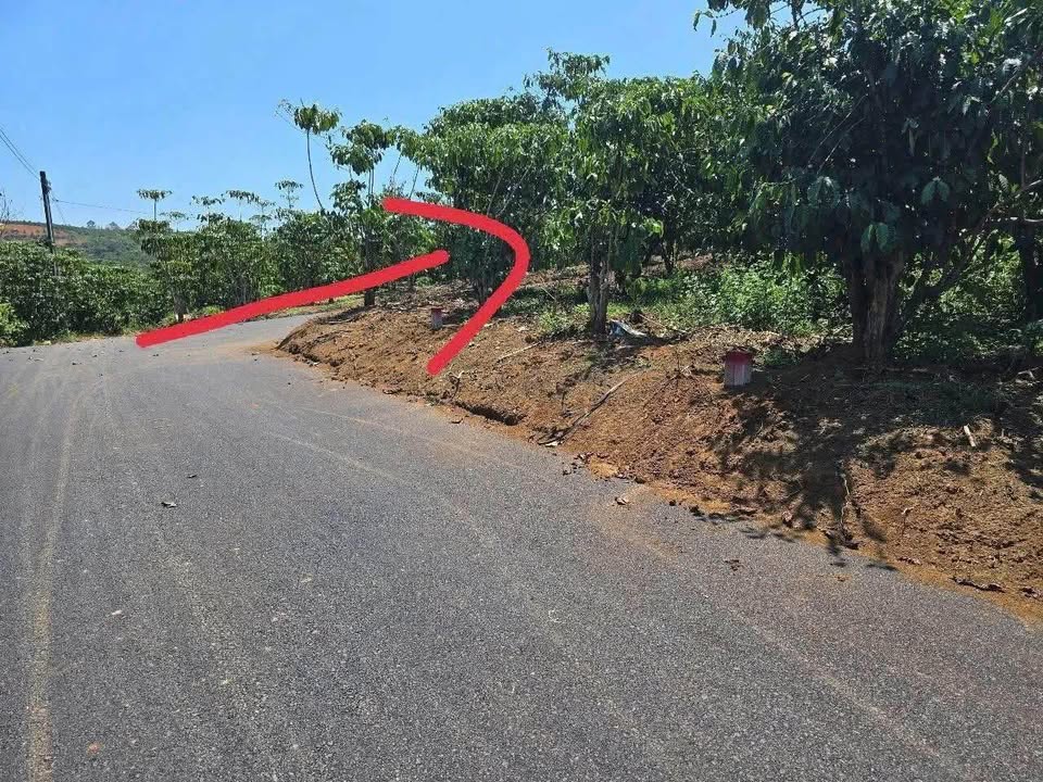 Đất nền Lộc Đức Bảo Lộc 1.031m² giá 830 triệu - Đầu tư sinh lời ngay!