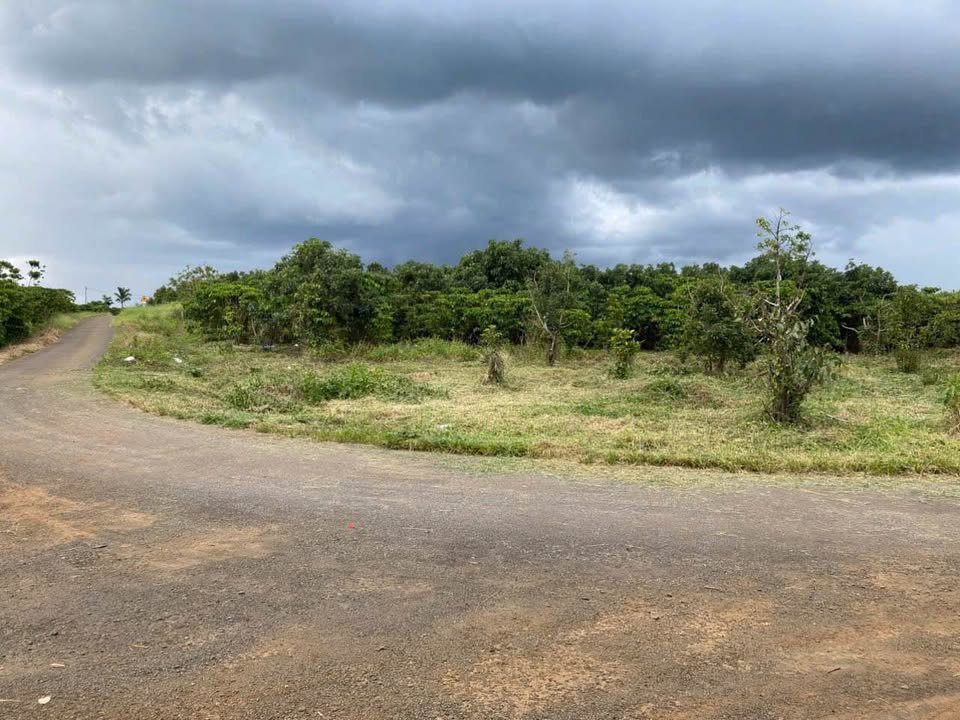 Đất thổ cư Lộc An 100m² giá 390 triệu - Đường nhựa, gần quốc lộ 20!