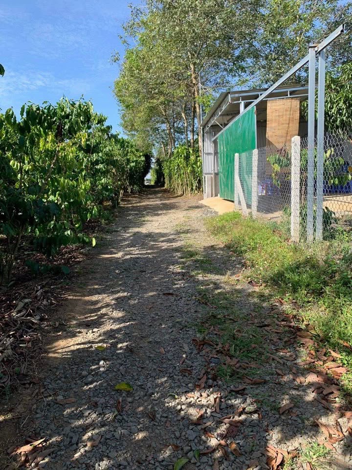 Đất hẻm 221 Đoàn Thị Điểm, Bảo Lộc 406m² giá 1.4 tỷ - Đầu tư sinh lời tiềm năng!