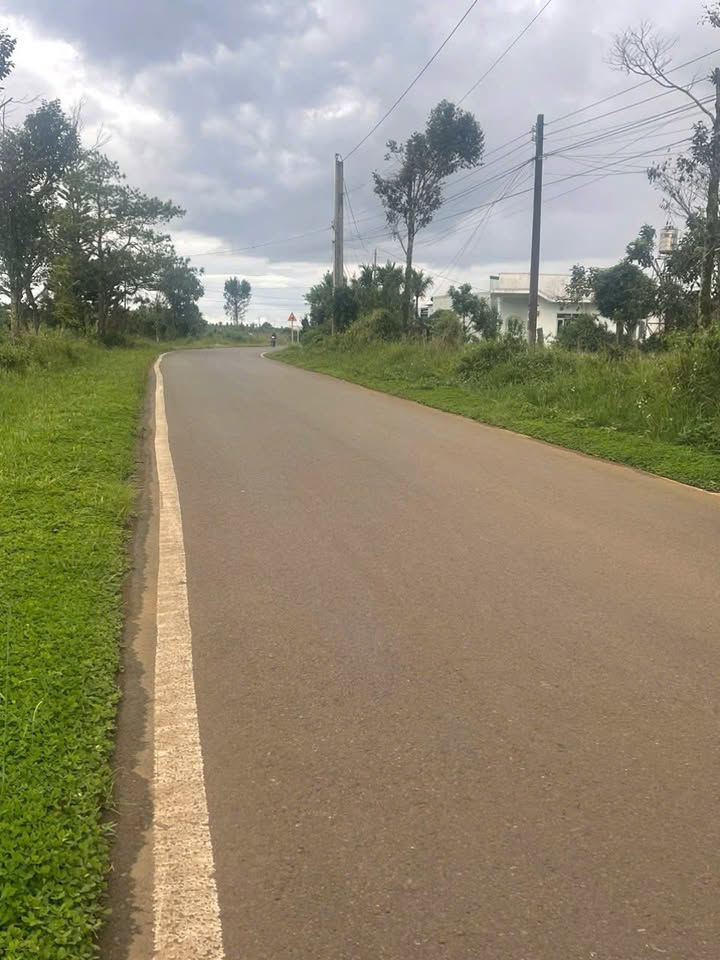 Bán đất Đam Bri 2ha giá 29 tỷ - Cơ hội đầu tư hấp dẫn!