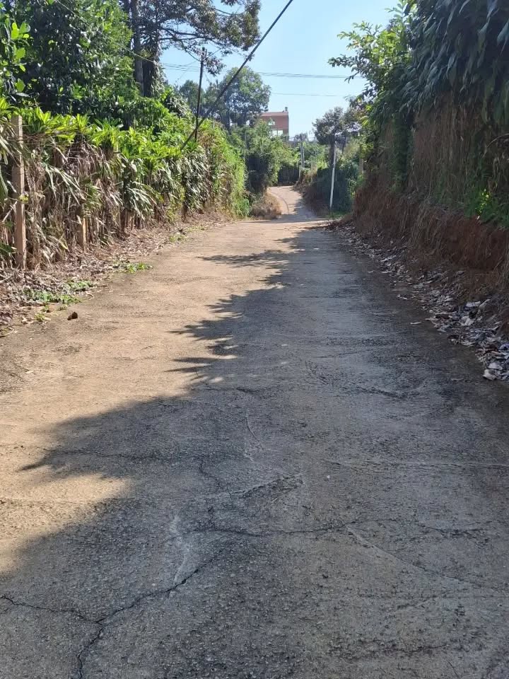 Đất nền Lộc Sơn, Bảo Lộc 552m² giá 1.5 tỷ - Đặc điểm đẹp, đầu tư sinh lời!