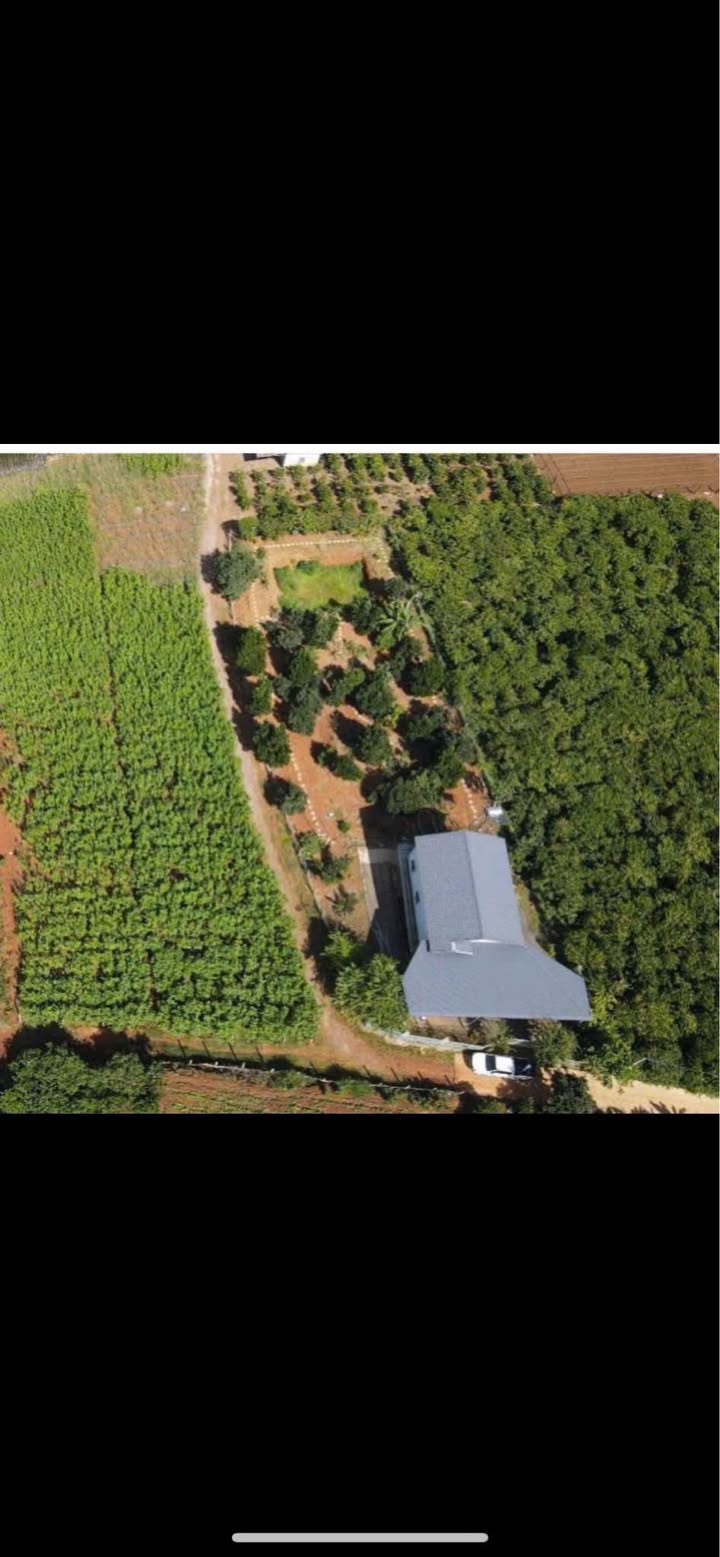 Farm Đức Trọng 1667m² giá 3.5 tỷ - Sổ hồng chính chủ, cần bán gấp!