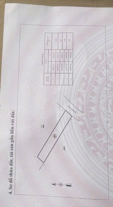 Đất thổ cư 200m² tại thôn Lü, xã Phú Thành, giá chỉ 500 triệu - Cơ hội đầu tư lý tưởng!