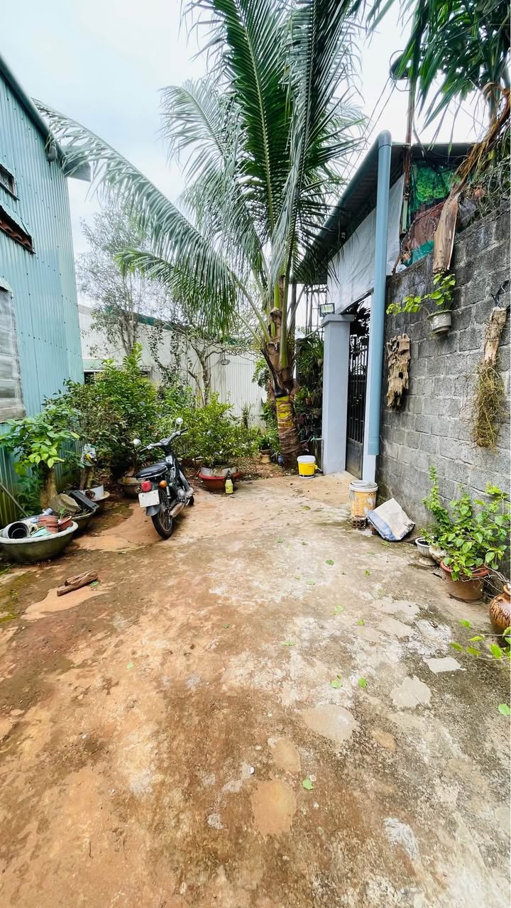 Đất hẻm 376 Trương Chinh, Pleiku 145m² giá 700 triệu - Hướng Nam, ô tô vào tận nơi!