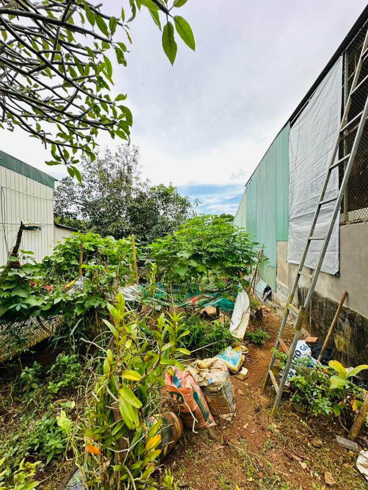 Đất hẻm 376 Trường Chinh, Pleiku 145m² giá 700 triệu - Nhanh tay sở hữu!