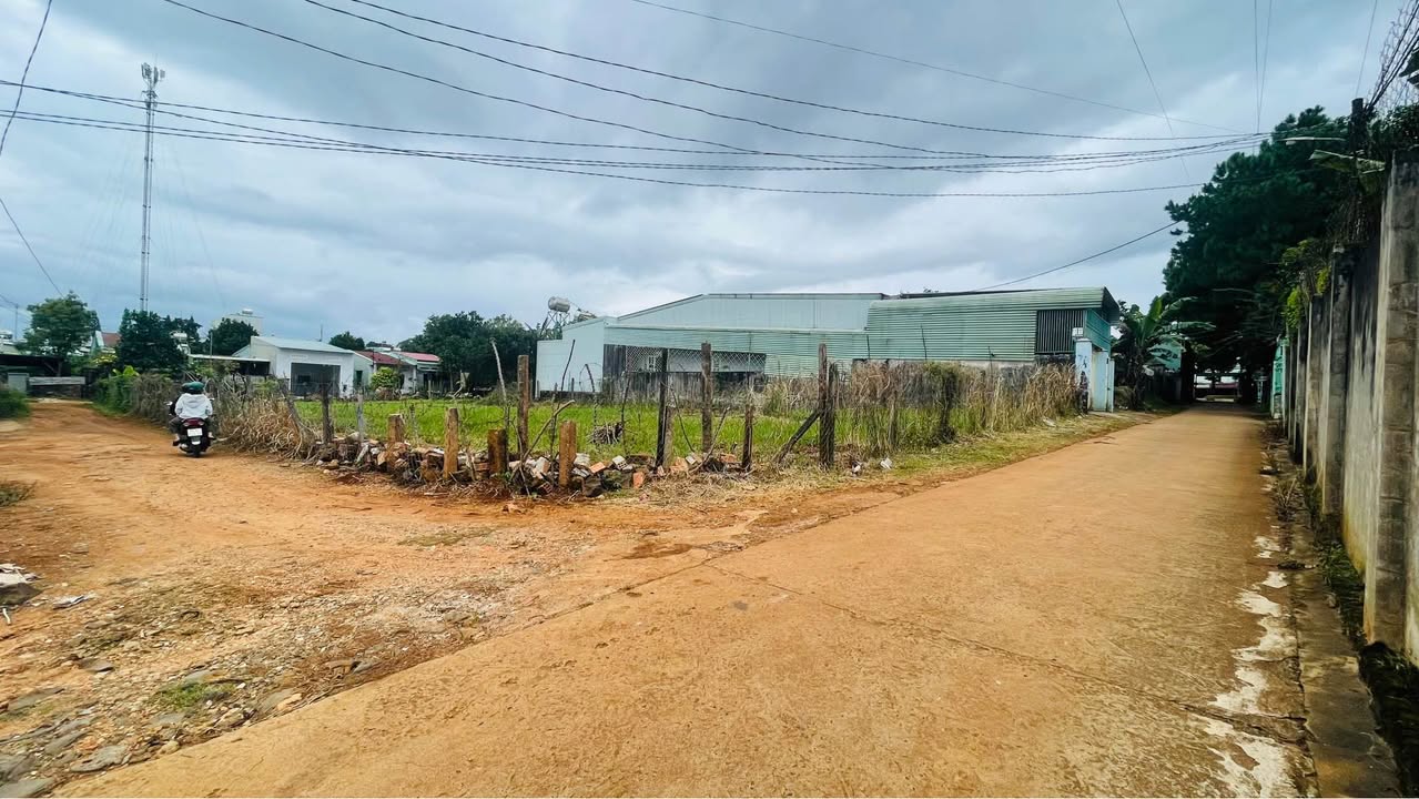 Đất nền tại đường Trường Chinh, P. Hội Phú, 145m² chỉ 700 triệu - Đầu tư sinh lời ngay!