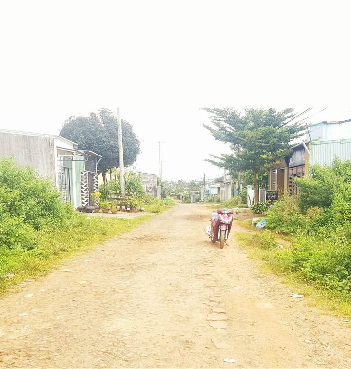 Đất nền Hội Phú 137m² giá thỏa thuận - Cơ hội đầu tư vàng!