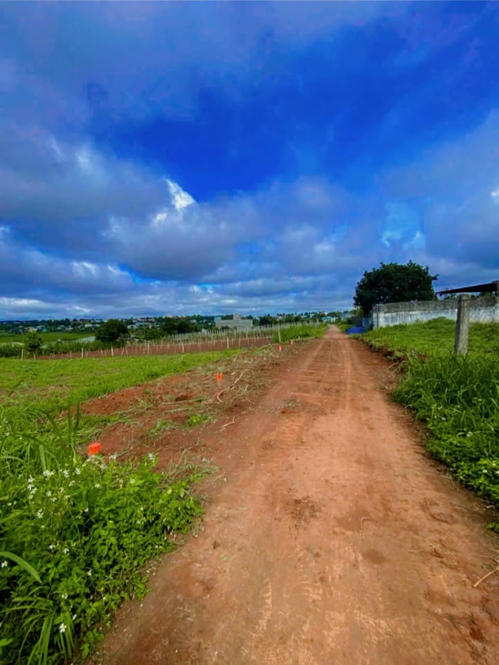 Đất nền 700m² tại phường Pleiku, Gia Lai - Giá chỉ 1.2 tỷ - Tiềm năng phát triển lớn!