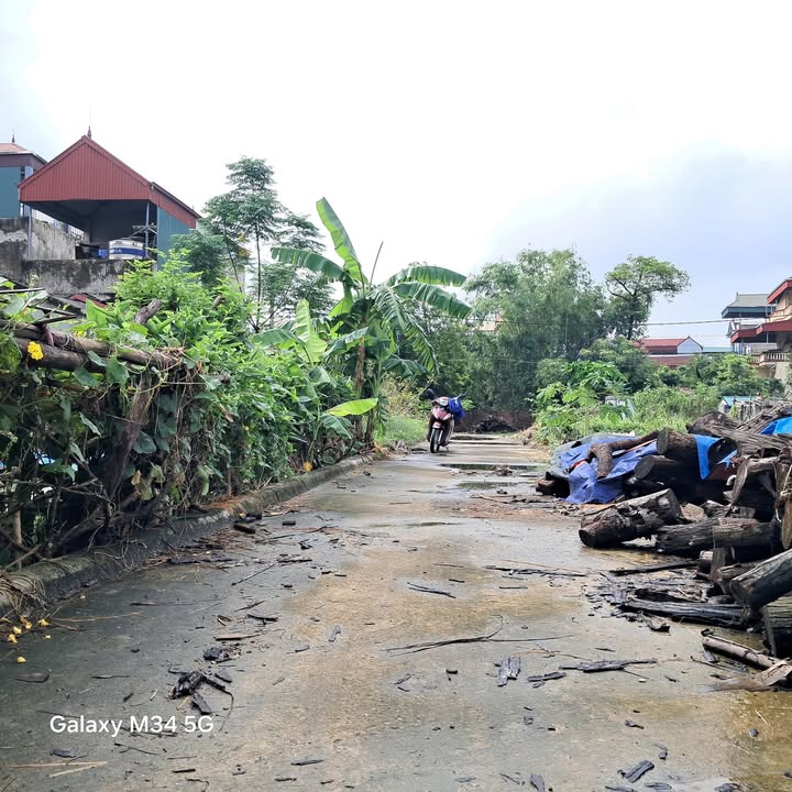 Đất nền 54m² tại Tam Đa, Thanh Oai - Đầu tư sinh lời hấp dẫn!