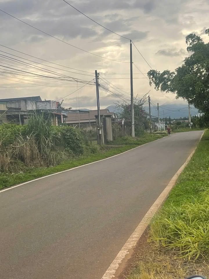 Đất nền 2ha tại Bảo Lộc, Lâm Đồng - Giá chỉ 29 tỷ, phù hợp phân lô!