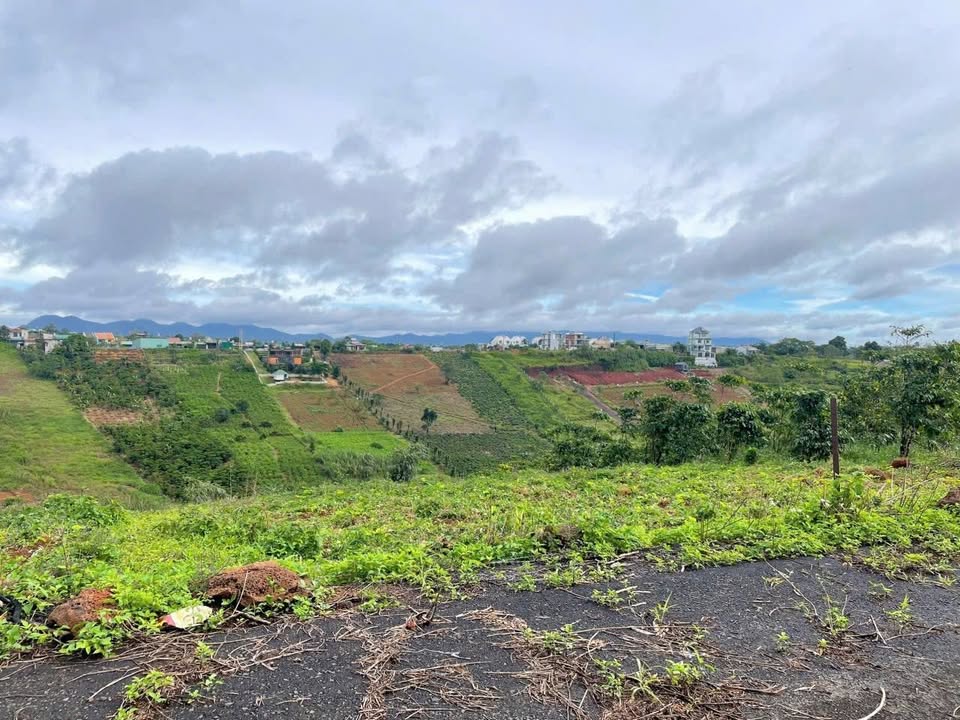 Đất thổ cư Lộc Tân, Bảo Lâm 9100m² giá 5.5 tỷ - Mặt tiền đường nhựa gần chợ!