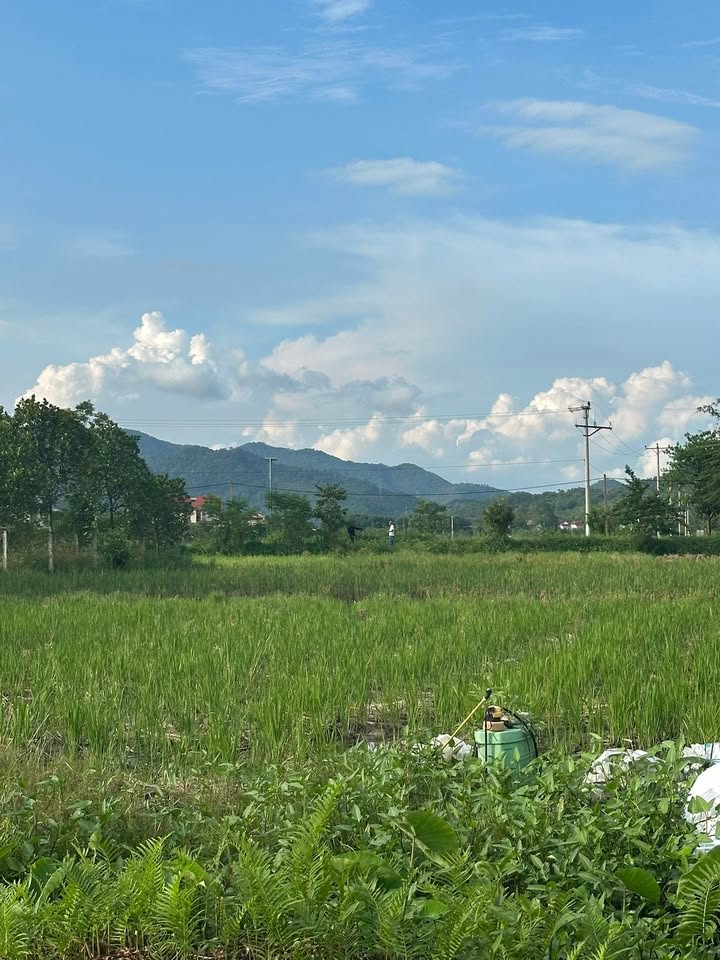 Đất nền Hiền Ninh, Sóc Sơn 66m² giá 2.9 tỷ - Bìa làng ô tô tránh!