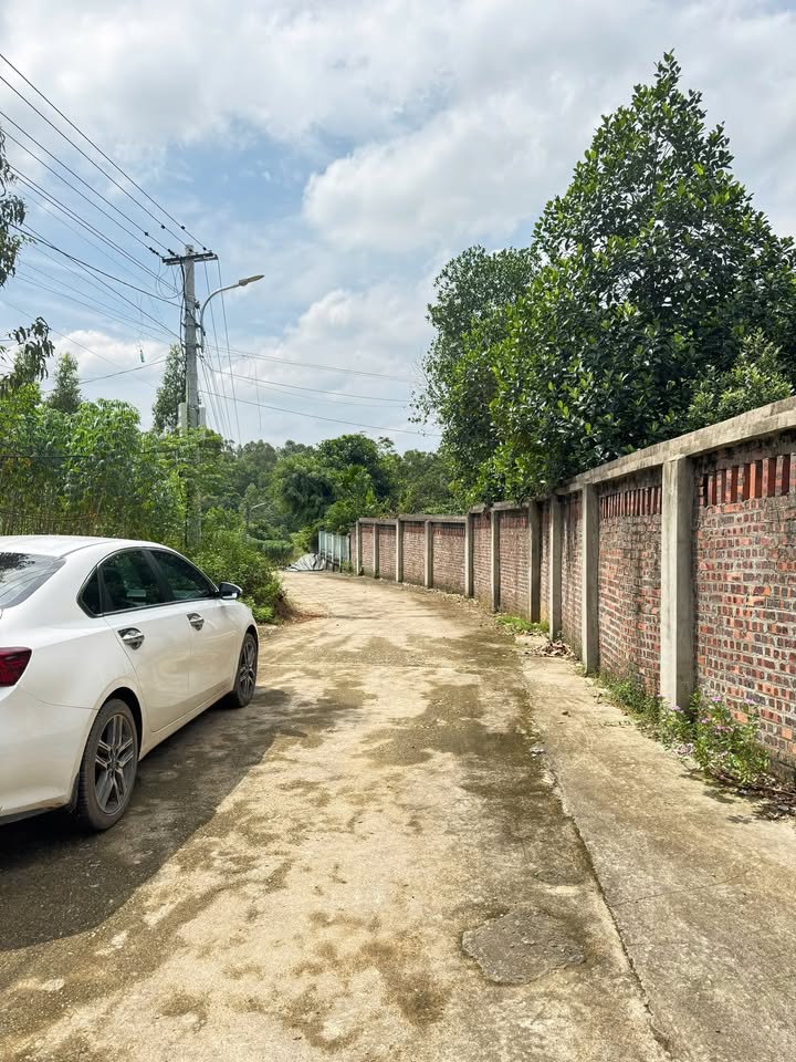 Đất thổ cư Lập Thạch 233.5m² giá chỉ 800 triệu - Đầu tư sinh lời ngay!