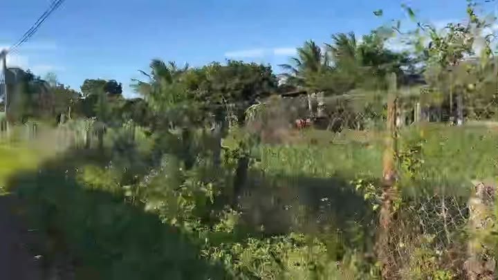 Đất nền Nhơn Hòa, Chư Pưh 300m² giá 500 triệu - Cơ hội đầu tư tuyệt vời!