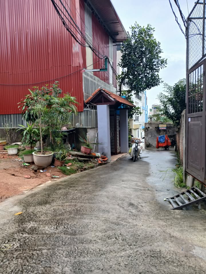 Đất thổ cư Đại Phúc Bắc Ninh 100m² giá 3 tỷ - Đường ô tô vào tận nơi!