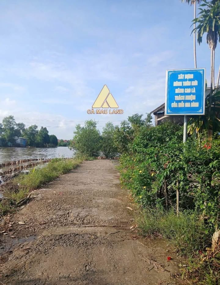 Đất mặt tiền Lương Thế Trân, Cà Mau 500m² giá 850 triệu - Đầu tư sinh lời tuyệt vời!
