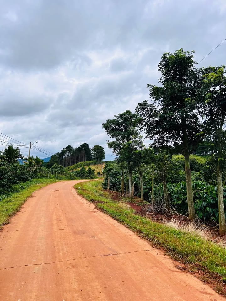 Lô đất mặt tiền xã Mê Linh 2800m² giá 2.6 tỷ - Tiềm năng tăng giá mạnh!