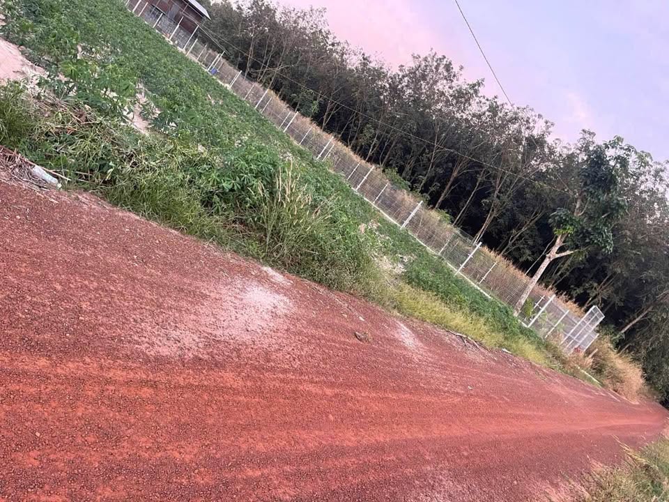 Đất nền Dĩ An 1000m² giá 600 triệu - Cơ hội đầu tư sinh lời!