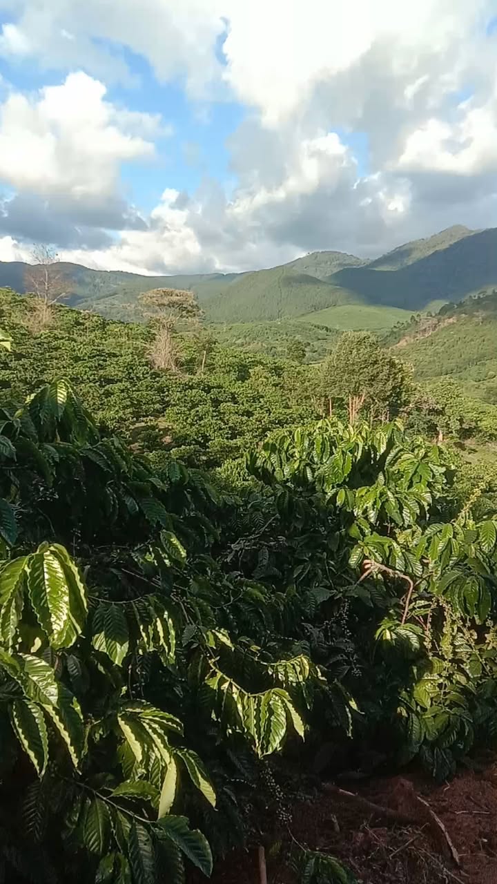 Đất nền xã Hra, huyện Mang Yang 10.000m² giá 1.35 tỷ - Sổ hồng chính chủ, giao thông thuận lợi!