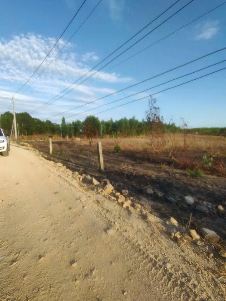 Đất HNK 4.200m² tại Tân Nghĩa, Bình Thuận - Giá chỉ 3.2 tỷ, cơ hội đầu tư tuyệt vời!