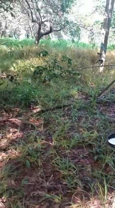 Đất Farm 1.9ha xã Đức Liễu giá 2.1 tỷ - Cơ hội đầu tư hấp dẫn!