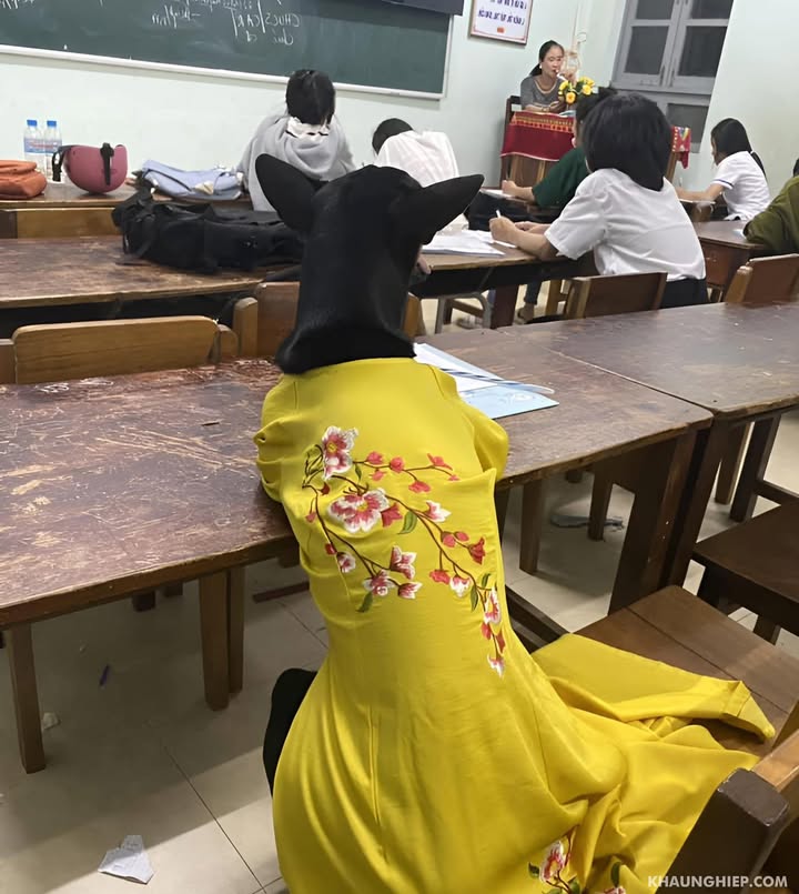 Nhà cho thuê 3 mặt tiền đường Nguyễn Văn Lượng, Gò Vấp 70m² - Giá chỉ 23 triệu/tháng!