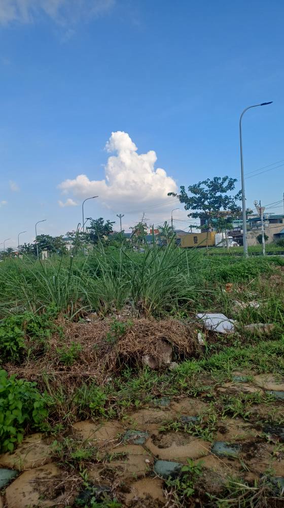 Đất nền Licogi 18.1 Uông Bí 350m² giá 6.9 tỷ - Sổ đỏ chính chủ, xây dựng tự do!