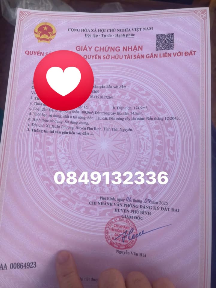 Đất nền Xuân Phương, Phú Bình 174m² – Pháp lý rõ ràng, giá cực tốt!