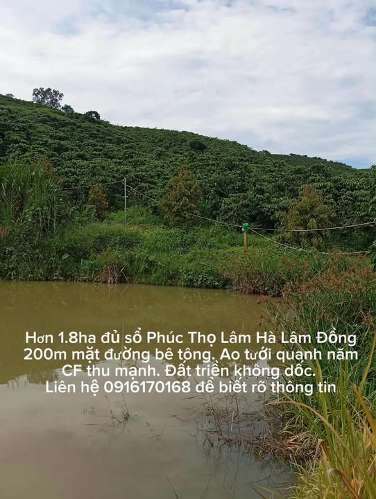 Đất nền Phúc Thọ Lâm Hà 18.000m² giá 3.7 tỷ - Sổ đỏ chính chủ, cơ hội đầu tư tuyệt vời!