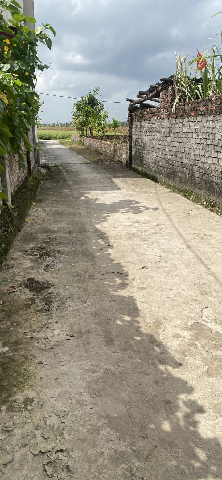 Đất nền Quang Phục, Tiên Lãng 160m² giá 1 tỷ - Vị trí đắc địa gần cụm công nghiệp!