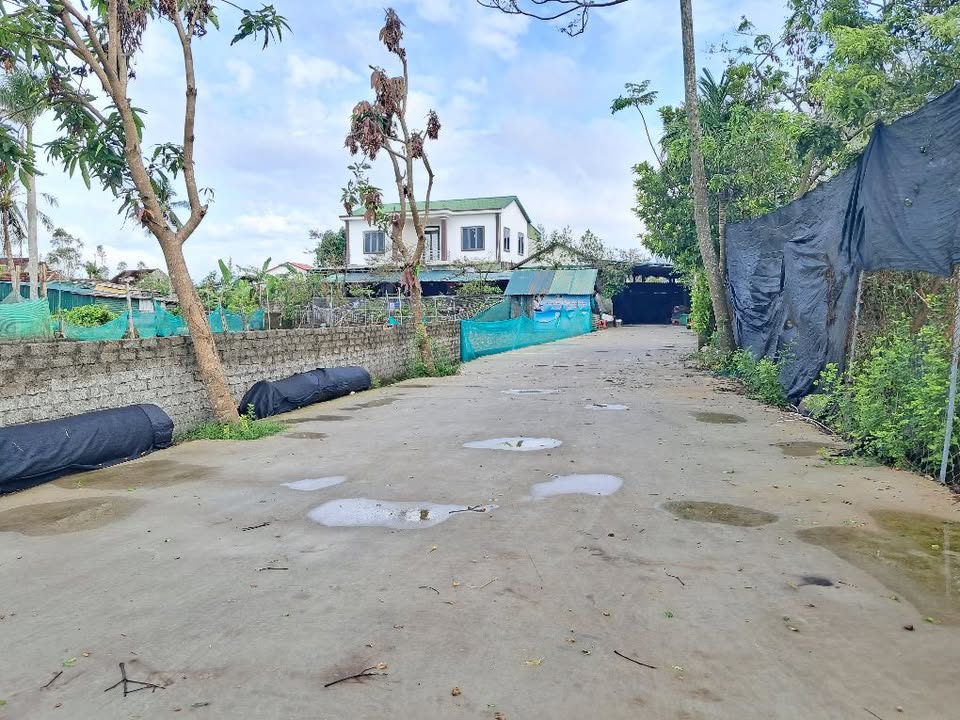 Đất Nghi Liên 102m² giá 1.7 tỷ - Gần bệnh viện và đường lớn!