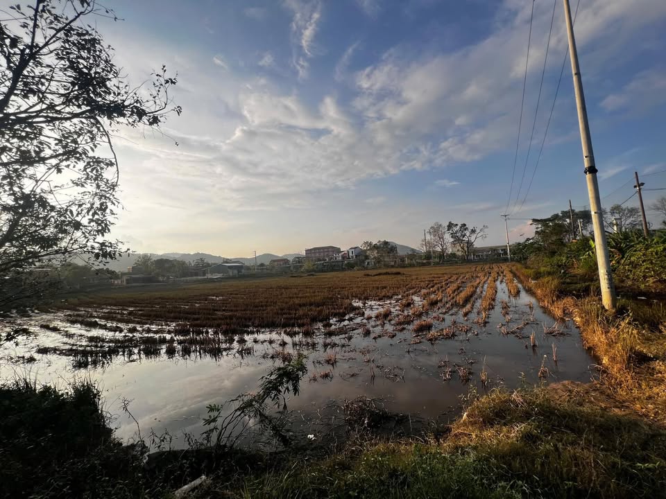 Đất thương mại dịch vụ 10.000m² Hưng Tây giá 17 tỷ - Đầu tư sinh lời ngay lập tức!