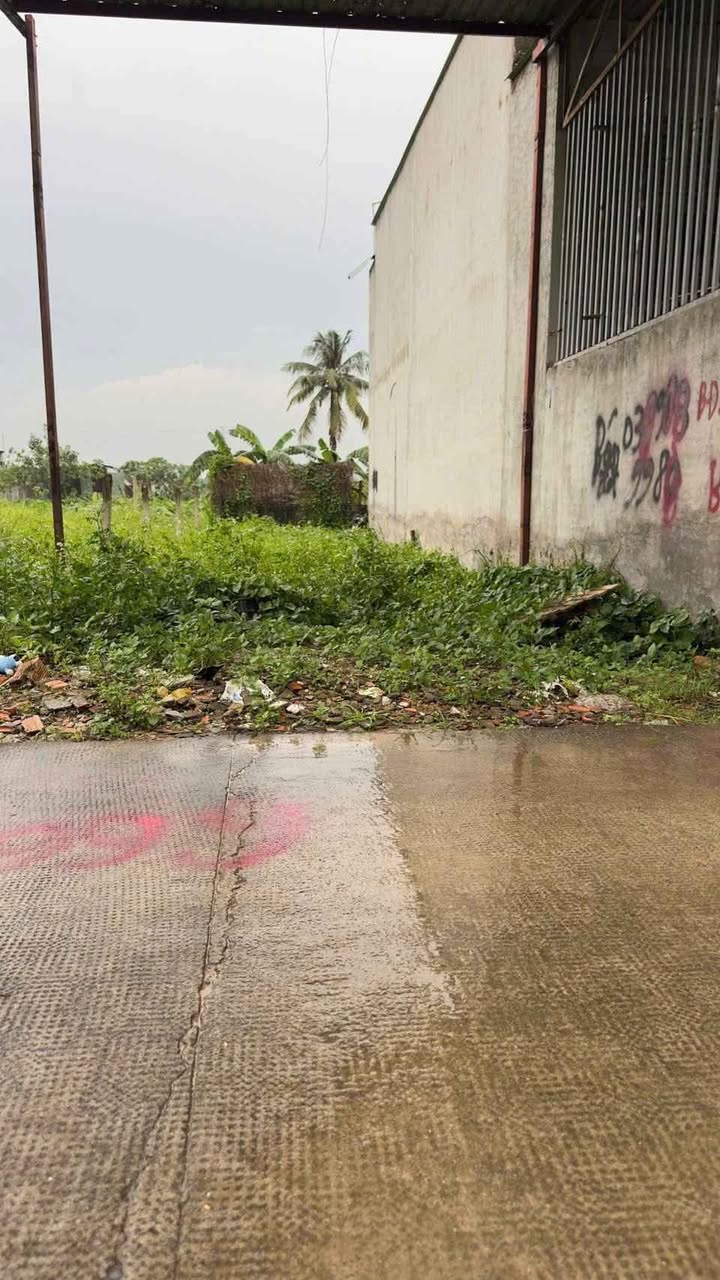 Đất thổ cư 120m² phường Tân Bình, Dĩ An - Chỉ 2.15 tỷ, thương lượng