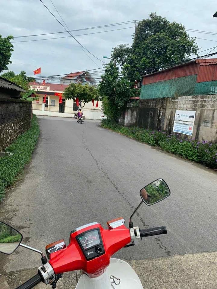 Đất nền Đồi Cao Yên Bình 138m² chỉ 1.2 tỷ - Cơ hội đầu tư hấp dẫn!