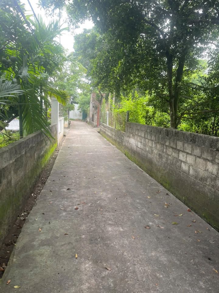 Đất thổ cư tại xã Chính Lý, huyện Lý Nhân, 406m² giá 1.4 tỷ - Đầu tư sinh lời!