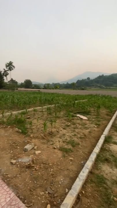 Đất nền Tân Lập, Thanh Sơn 150m² giá chỉ 200 triệu - Cơ hội đầu tư tuyệt vời!