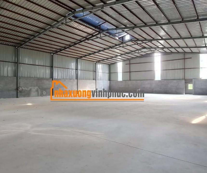 Nhà xưởng cho thuê 600m² tại Đạo Tú, Tam Dương, Vĩnh Phúc - Giá chỉ 24 triệu/tháng!