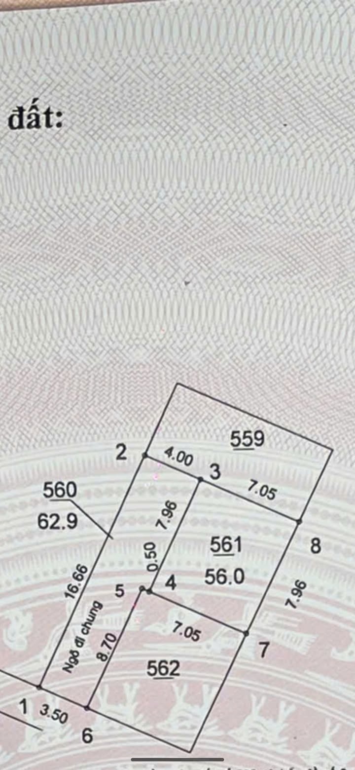 Đất thổ cư 56m² Phúc Lợi Long Biên, chỉ 3 tỷ - Cơ hội đầu tư tuyệt vời!