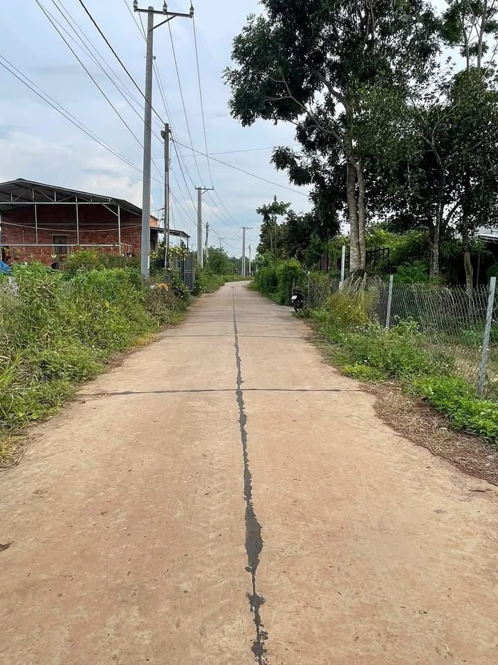 Đất nền Xuân Thành 1440m² giá 550 triệu - Vị trí tuyệt đẹp, sẵn sàng đầu tư!