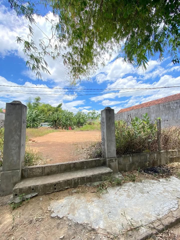 Lô đất vườn Nhơn Thành, An Nhơn 601.4m² giá 1 tỷ - Đầu tư sinh lời tốt!