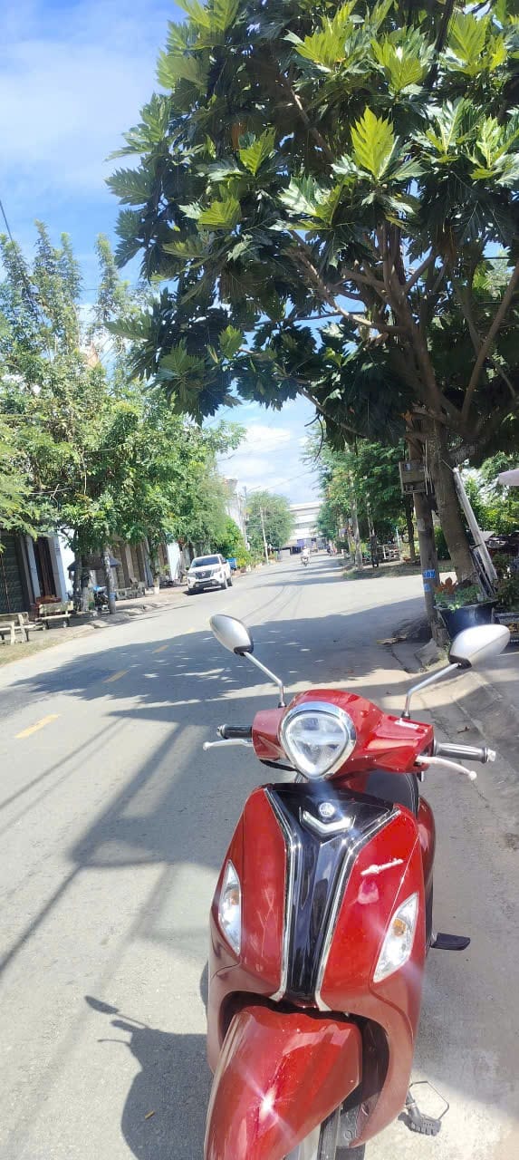 Đất nền liền kề tại trung tâm Thị trấn Thủ Thừa 68m² - Giá chỉ 1 tỷ, cơ hội đầu tư tuyệt vời!