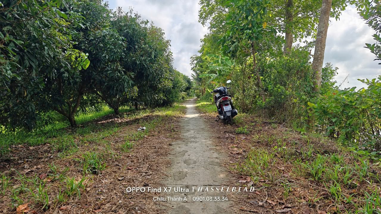 Đất nền 1620m² xã Trường Long Tây, Cần Thơ - Giá chỉ 760 triệu!